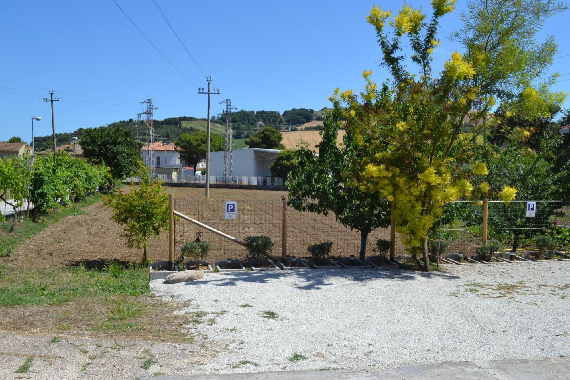 Casa Degli Ulivi - Apartment B Porto San Giorgio Εξωτερικό φωτογραφία